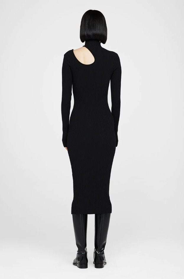 VICTORIA DRESS